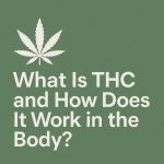 Does THC Speed Up Your Metabolism