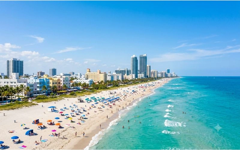 When to Visit Miami Timing Your Trip Right