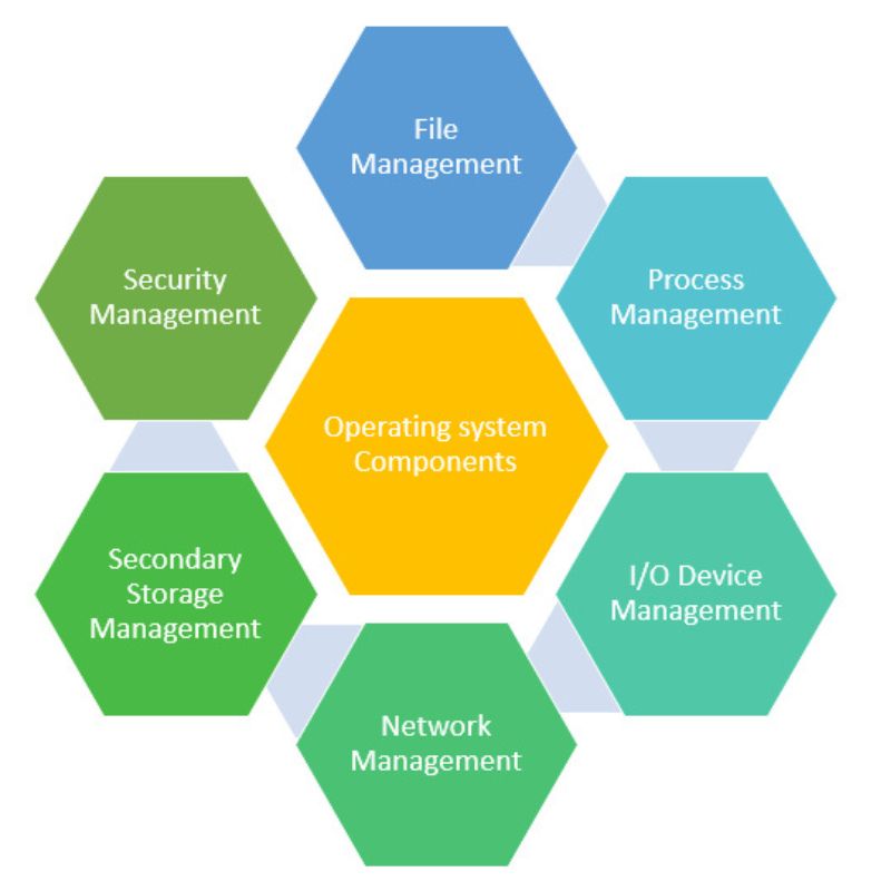 Key Components of an Operating System Explained | MindScribes