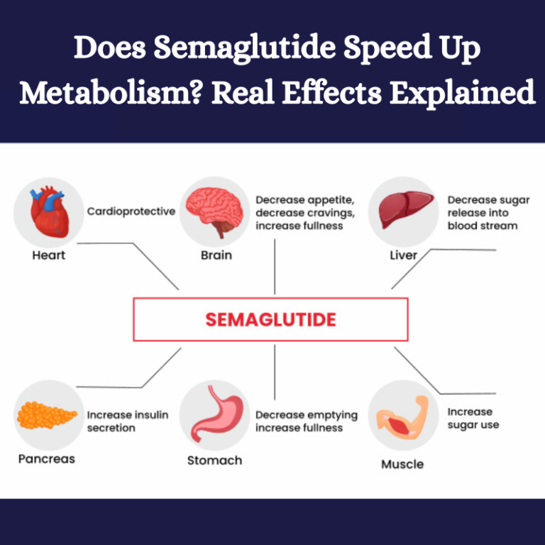 Does Semaglutide Speed Up Metabolism