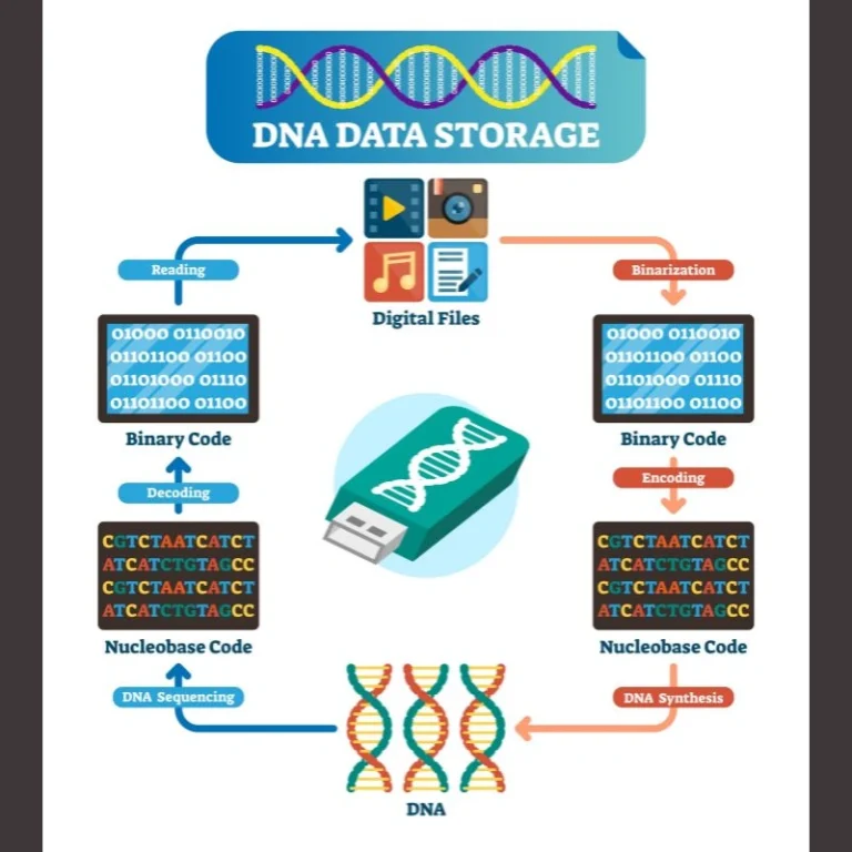 DNA data storage systems